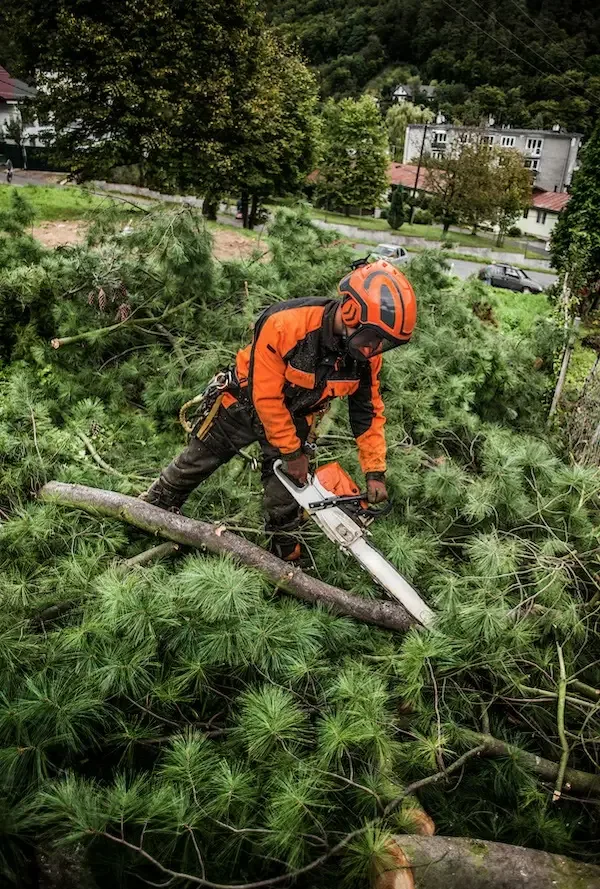 Tree Pruning